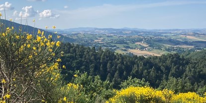 Allergiker-Hotels - Italien - Wanderwege ab Gartentor, hier im Juli direkt im Naturpark - Poggio-delle-Querce Eichenhügel